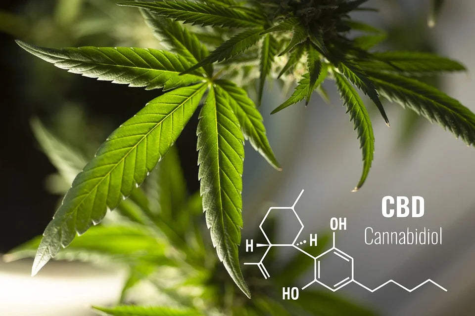 Moon Rock CBD: What's in this Strong little cousin of Cannabidiol?