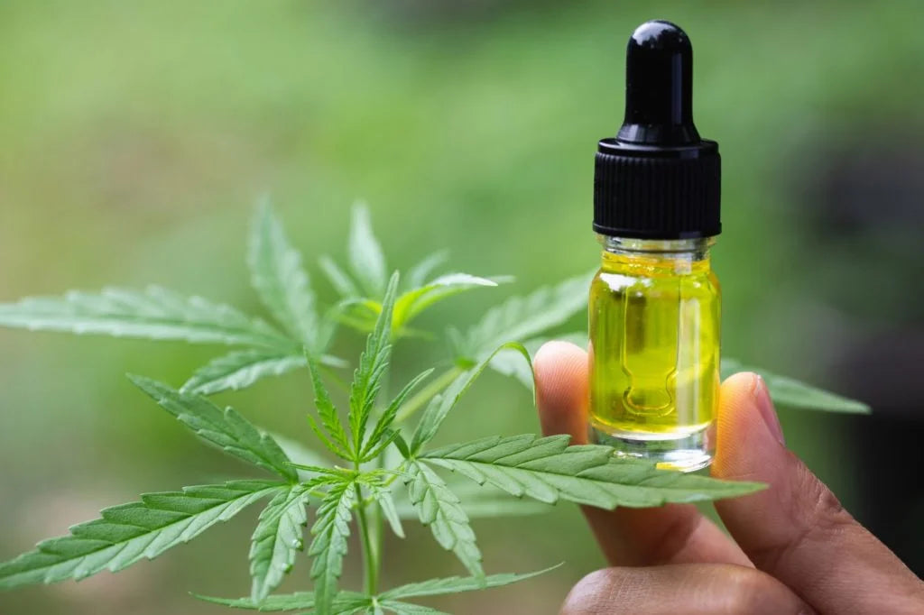 CBD F&Q