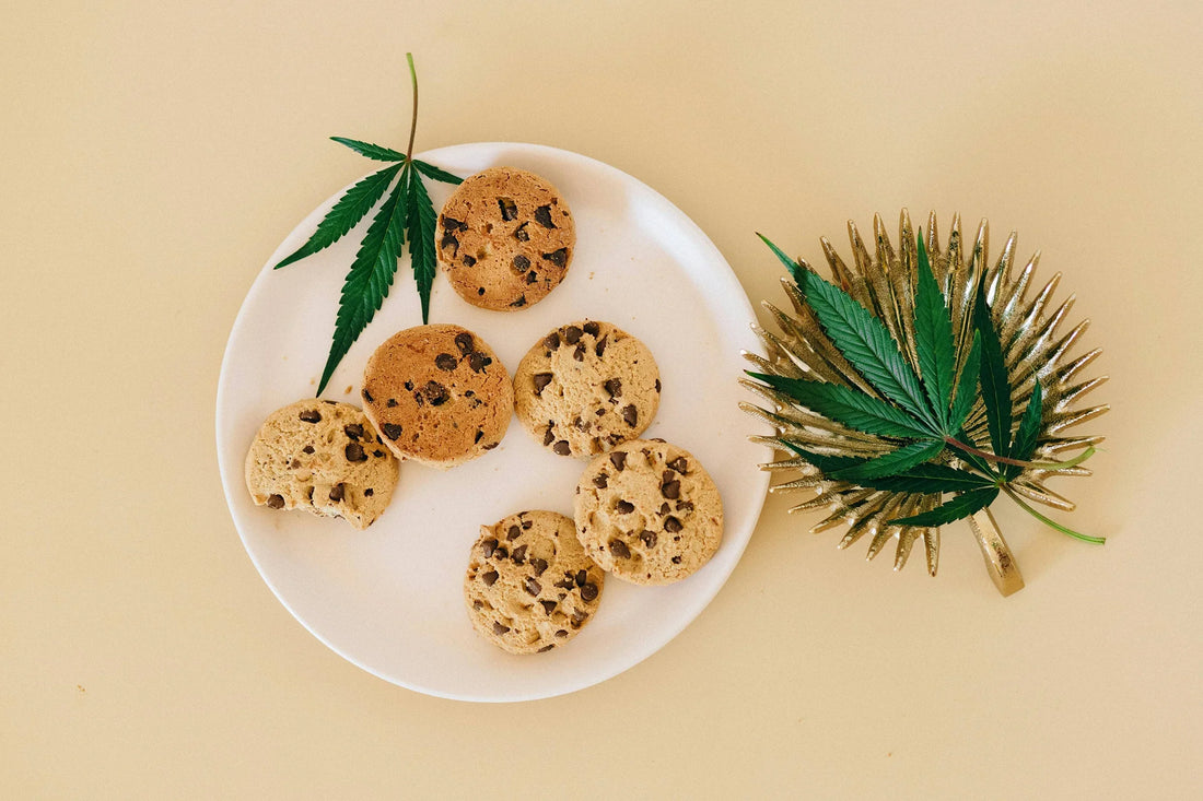 The Role of Cannabinoid Receptors in Achieving Wellness