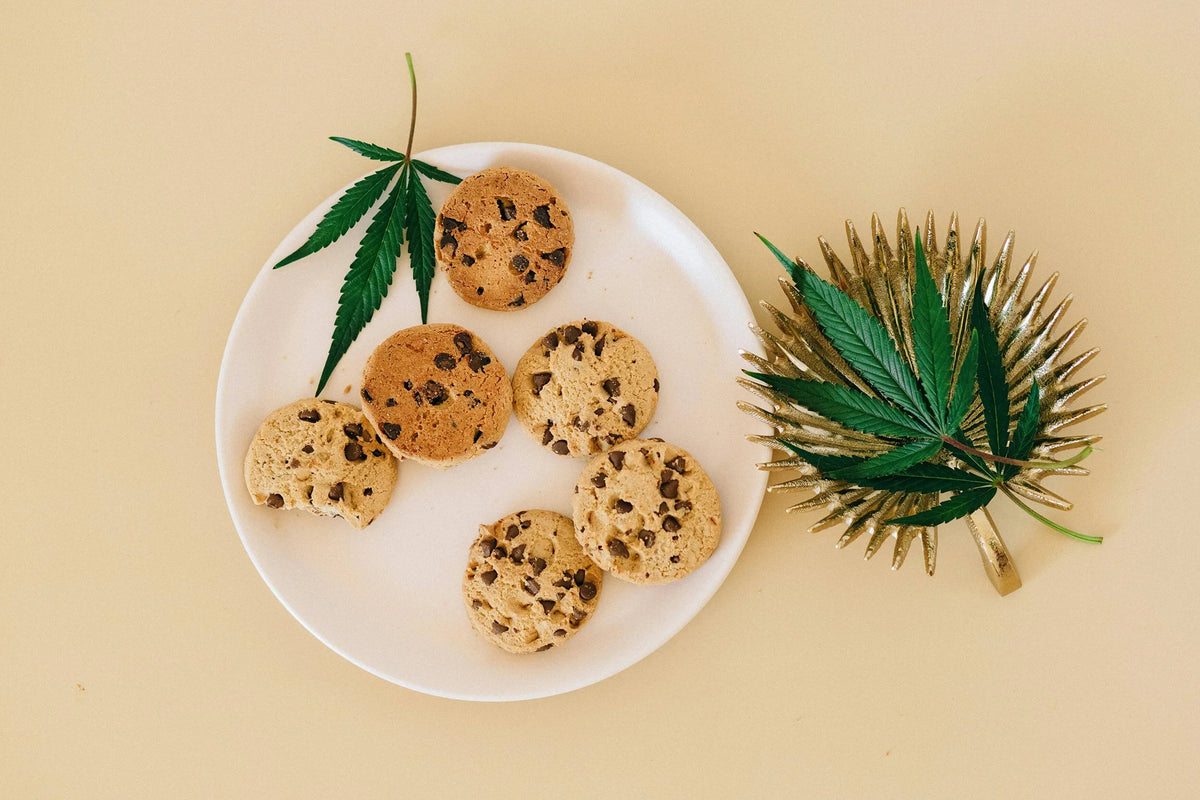 The Role of Cannabinoid Receptors in Achieving Wellness