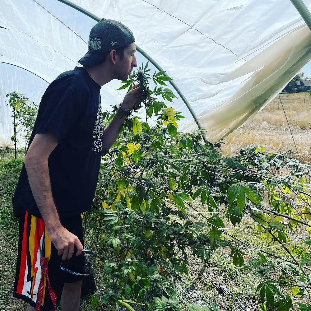 Interview with Mat Holmes of Colorado Fresh CBD